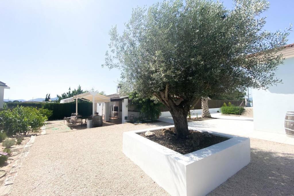 Relax En La Huerta De Murcia Kültér fotó