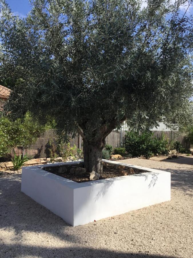 Relax En La Huerta De Murcia Kültér fotó